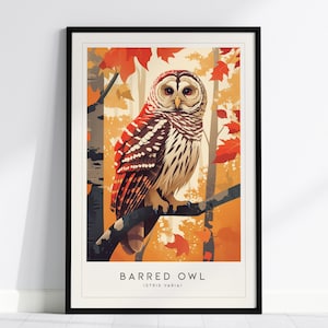 Barred Owl Framed Print: Autumn Forest Bird Art