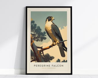 Peregrine Falcon Art Print: Modern Bird of Prey Illustration, Framed or Unframed Poster