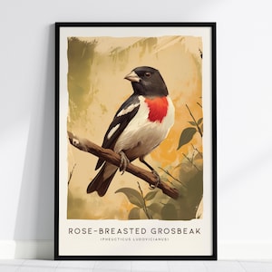 Póster de picogrueso pechirrosa: elegante arte de aves, disponible enmarcado o sin marco, perfecto para observadores de aves y entusiastas de la naturaleza, regalo de observación de aves