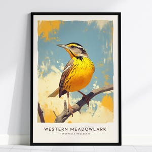 Póster de alondra occidental: arte vibrante de aves estatales, disponible enmarcado o sin marco, perfecto para observadores de aves y amantes de la naturaleza, regalo de observación de aves