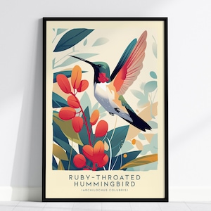 Rubinkehlkolibri Kunst: Moderner Naturdruck, gerahmt oder ungerahmt