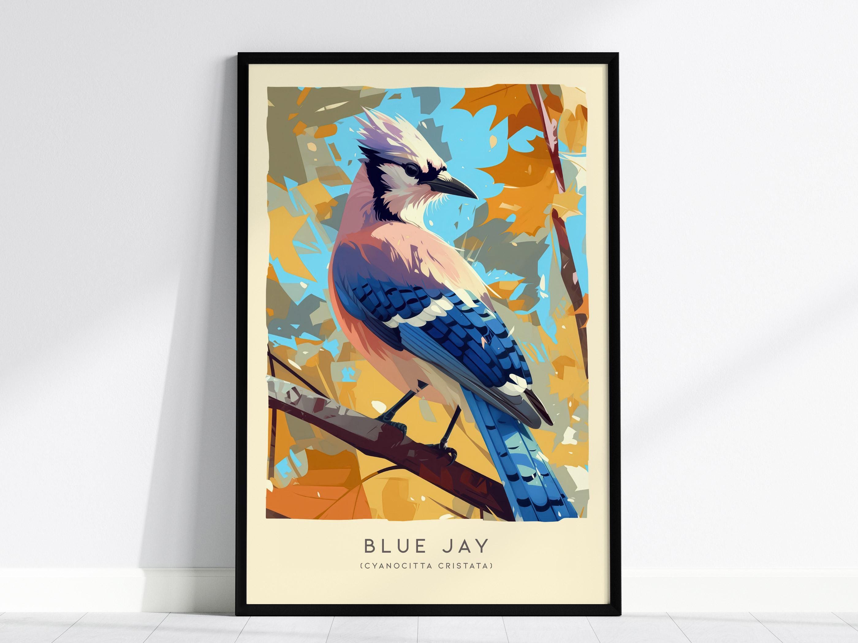 Jay R Prints Blue Jay Frames