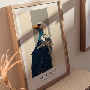 Majestic Bald Eagle Poster: Birdwatcher Wildlife Art image 7