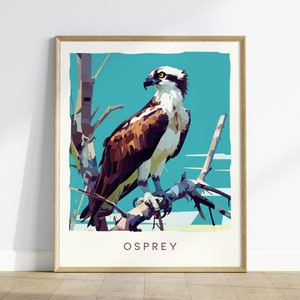 Póster con diseño de águila pescadora, aves de Florida, vida salvaje, arte de pared enmarcado, diseño de ave rapaz tropical, halcón pez, impresión de viaje, decoración para el hogar, playa, cabaña