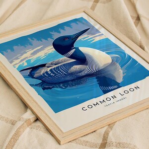 Common Loon Art Print: Minnesota State Bird Poster, Framed or Unframed image 7