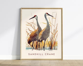 Sandhill Crane Poster Wall Art: Bird Wildlife Print, Nature Crane Art, Sandhill Crane Wall Art, Bird Art Print, Nature Lover Home Decor