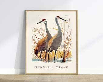 Sandhill Cranes, Florida Birds Wildlife Framed Wall Art - Iconic Bird Poster Design Travel Print Lake Home Beach Cottage Birder Decor Set