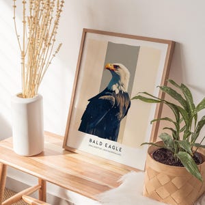 Majestic Bald Eagle Poster: Birdwatcher Wildlife Art image 6
