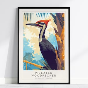 Pileated Woodpecker Bird Lover Modern Framed Wall Art Cottagecore Wildlife Poster Audubon Rustic Farmhouse Decor Nature Cabin Cozy Print Set