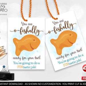 Printable Testing Day Snack Tag Classroom Treat Tag Fish Crackers Snack Good Luck Gift Test Day Goldfish Finals School Test Taking PTO GLT