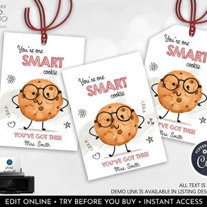 Good Luck Test Day Snack Tag Editable One Smart Cookie Test Tag Chocolate Chip Cookie Classroom Finals School PTO Test Label Printable GLT