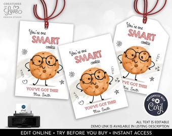 Good Luck Test Day Snack Tag Editable One Smart Cookie Test Tag Chocolate Chip Cookie Classroom Finals School PTO Test Label Printable GLT