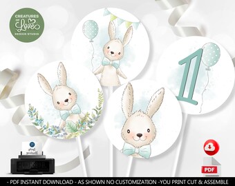 Bunny Centerpieces Blue Bunny Floral Cake Topper Spring Blush Rabbit Birthday Party Some Bunny is One Decor Digital Download PRINTABLE BBB1