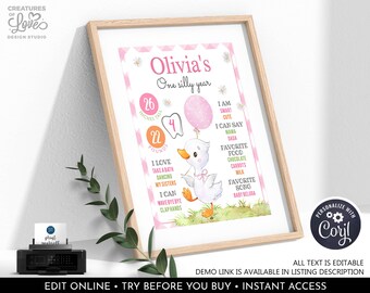 One Silly Goose Birthday Milestone Sign Editable Goose 1st Birthday Pink Girl First Year Stats Poster Farm Digital Template Printable OSG
