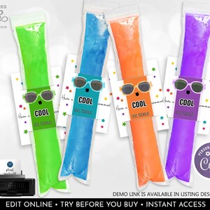 Può includere: Quattro ghiaccioli colorati in verde, blu, arancione e viola, ognuno con un'etichetta che dice "COOL" e "Have a summer! Love, Nicholas". I ghiaccioli hanno occhiali da sole e sono su una carta bianca con stelle. L'immagine include anche una stampante e il testo "Edit Online - Try Before You Buy - Instant Access".