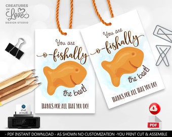 You are o-fish-ally the best Teacher Appreciation Gift Tag Employee Staff Boss Student School PTA Volunteer Fish Favor Tag SA