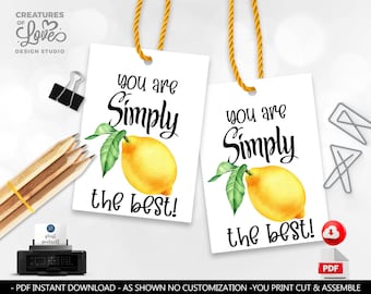 You are Simply The Best Teacher Appreciation Gift Tag Employee Staff Boss Student School PTA Volunteer Coworker Nurse Lemonade Favor Tag SA