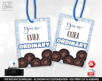 May include: Two printable gift tags with blue and white checkered backgrounds. The tags feature the text "You are extra ordinary" with a brown chocolate chip cookie design.