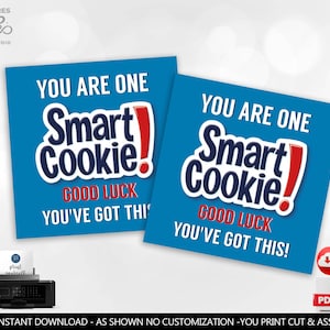 Printable Testing Day Snack Tag Classroom Treat Tag One Smart Cookie Chocolate Chip Good Luck Tag Test Day Finals School Test Taking PTO GLT