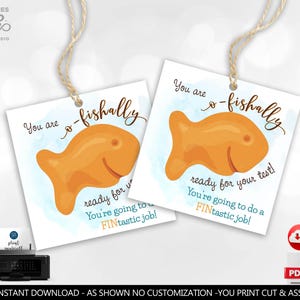 Printable Testing Day Snack Tag Classroom Treat Tag Fish Crackers Snack Good Luck Gift Test Day Goldfish Finals School Test Taking PTO GLT