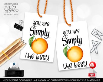You are Simply The Best Teacher Appreciation Gift Tag Employee Staff Boss Student School PTA Volunteer Coworker Nurse Orange Juice Tag SA