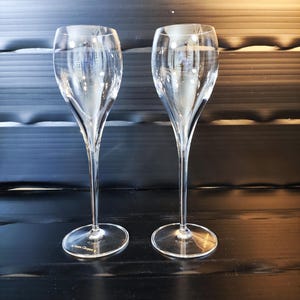 Champagner tulpe