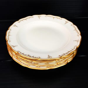 May include: A stack of white porcelain plates with gold trim. The plates have a scalloped edge and a delicate gold pattern around the rim. The plates are stacked on top of each other.