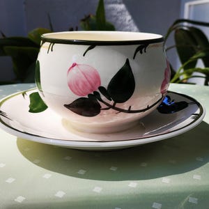 Villeroy and Boch sauce boat, sauce bowl, sauce bowl/ Wild Rose series/ Hand-painted