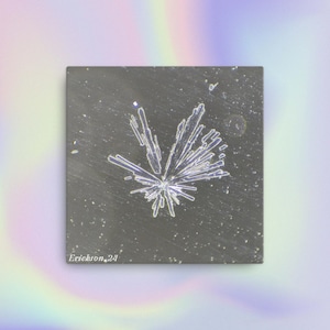 May include: A close-up of a gray, textured surface with a white, star-shaped crystal formation. The text "Erickson 24" is visible in the bottom right corner.