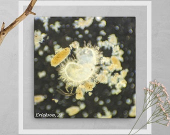 Reduce, Reuse, Recycle, Microscopic Canvas Wall Art