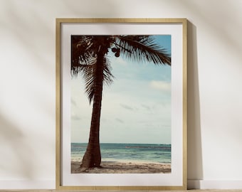 Foto minimalista de palmeras en la playa: Arte mural costero (descarga digital)