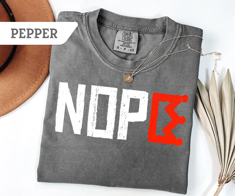 May include: A gray t-shirt with the word "NOP&Sigma;" printed in white and red. The shirt is made of a soft material and has a crew neck. A silver necklace with a pendant is on the shirt.