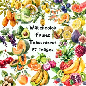 Watercolor Fruits , Watercolor Clipart, Digital Download, PNG Files, Junk Journal, Scrapbooking, Embellishments, Planner Graphics