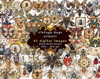 Vintage Bugs Clipart – 82 Antique Insect PNG Files, Junk Journal & Scrapbook Ephemera (Instant Download)