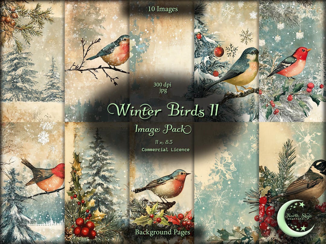 Winter Birds 2, Digital Junk Journal, Image Pack, Digital Paper ...