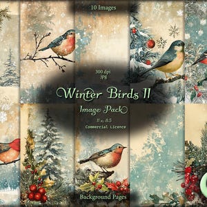 Pájaros de invierno 2, diario basura digital, paquete de imágenes, papel digital, descarga instantánea, uso comercial