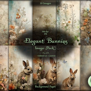 Elegante Häschen, digitales Papier, Hintergrundbilder, Sofort Download kommerzielle Nutzung