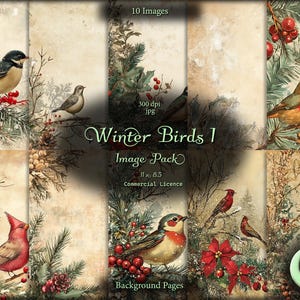 Winter Birds 1, journal numérique indésirable, ensemble d'images, papier numérique, téléchargement immédiat, usage commercial