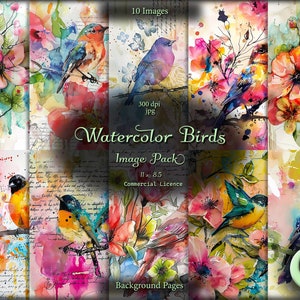 Oiseaux aquarelles, Journal numérique indésirable, Pack d'images, Papier numérique, Images d'arrière-plan, Téléchargement immédiat, Utilisation commerciale