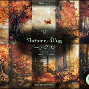 Autumn Bliss, Digital Junk Journal, Pacote de imagens, Papel digital, Download instantâneo, Uso comercial