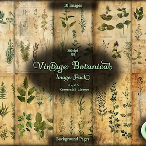 Botanique vintage, journal numérique indésirable, ensemble d'images, papier numérique, téléchargement immédiat, usage commercial