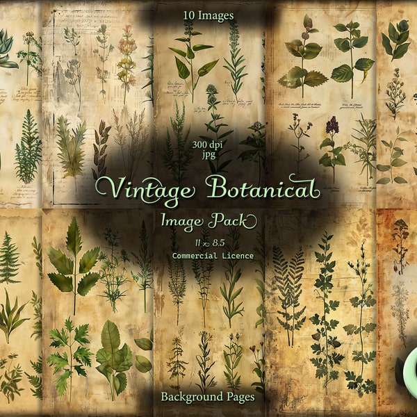 Vintage Botanical, Digital Junk Journal, Image Pack, Digital Paper, Instant Download, Commercial Use