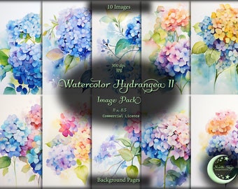 Watercolor Hydrangea 2, Digital Paper, Background Images, Commercial Use