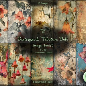 May include: A digital image pack featuring distressed Tibetan bell flower designs. The pack includes 10 images with a vintage aesthetic, showcasing orange and pink bell-shaped flowers against textured backgrounds. The text "Distressed Tibetan Bell Image Pack" is visible.