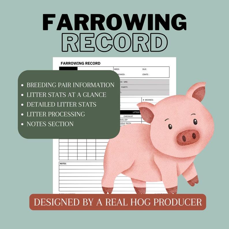 Farrowing Record Sheet - Etsy