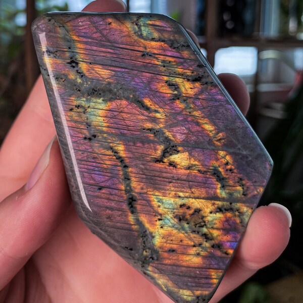 Labradorite Freeform w/ Flash on Front and Back & Rainbows - 88mm!