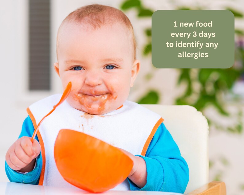 Personalized Baby's First Foods Checklist, Baby Food Diary, Baby Food