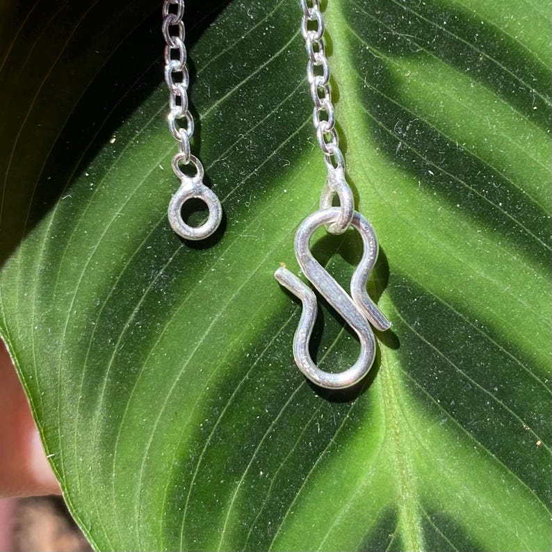 May include: Close-up of a silver necklace clasp and chain. The clasp is an S-hook style, and the chain is made of small, linked rings. The background is a green leaf with darker green veins.