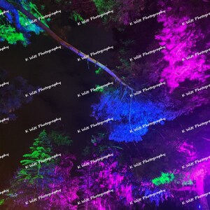 May include: A nighttime forest scene illuminated with vibrant colors. Green, blue, and purple lights highlight the trees and branches against a dark sky. The image is labeled with the text "K Witt Photography".