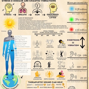 Puede incluir: Una infografía colorida que explica el concepto de sanación por sonido y cómo las diferentes frecuencias pueden afectar el cuerpo humano. La infografía incluye ilustraciones del cuerpo humano, ondas sonoras y diferentes tipos de técnicas de sanación por sonido. También incluye un gráfico de las frecuencias de las ondas cerebrales y sus estados de conciencia correspondientes.
